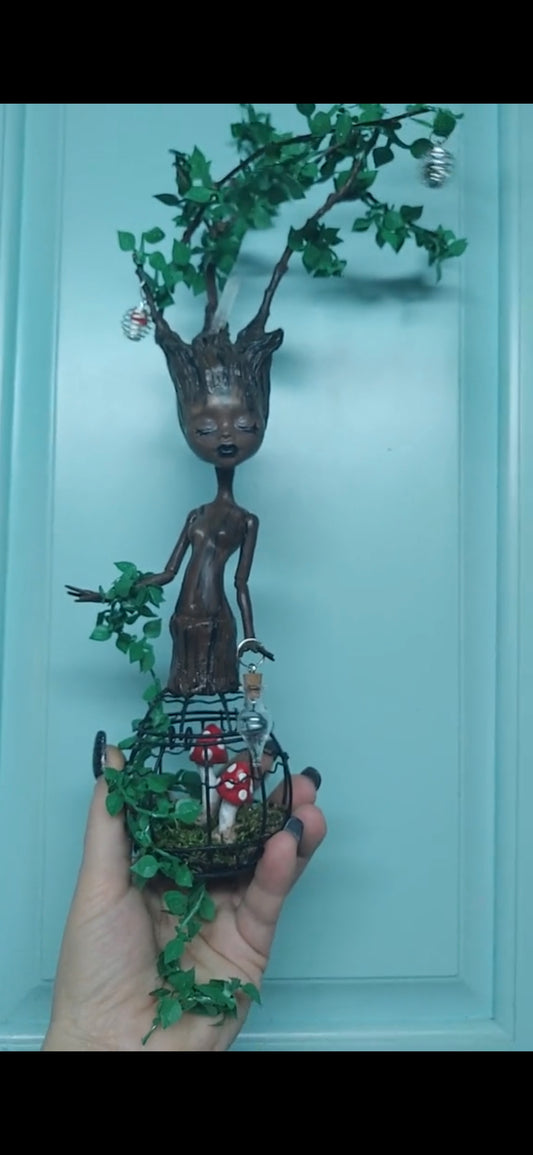 Letty's Creator Fairy