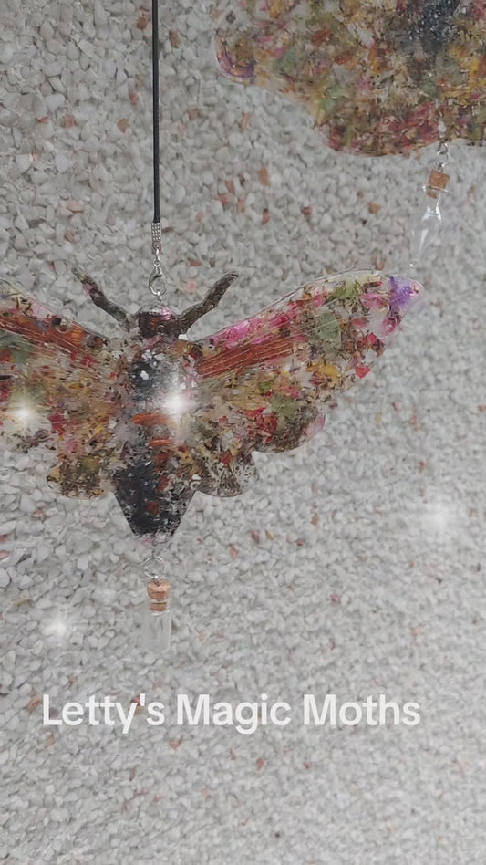 Letty's Magical Moths