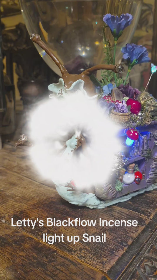 Letty's Snail