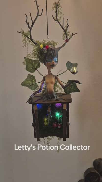 Letty's Collector Fairy