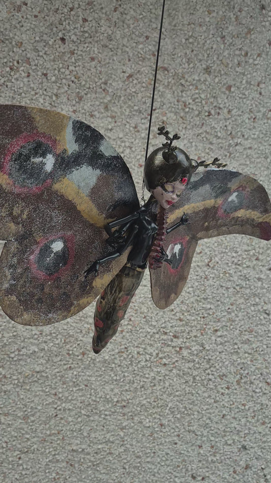 Letty's Mother Moth