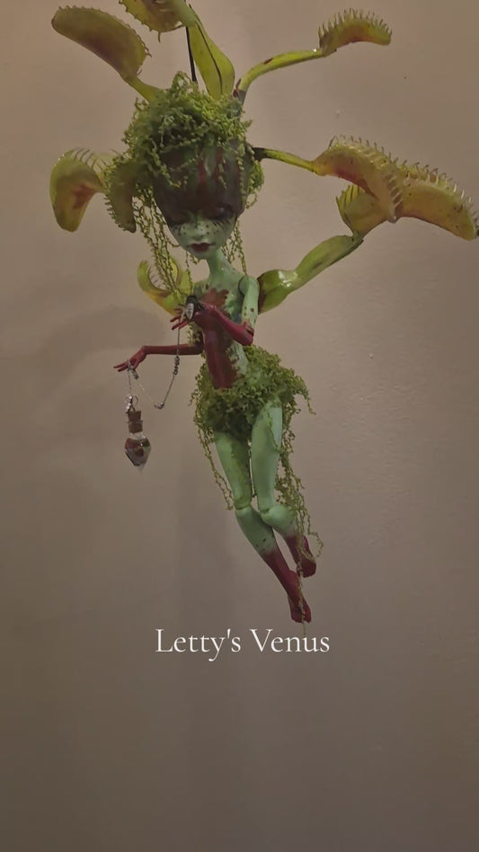 Letty's Venus