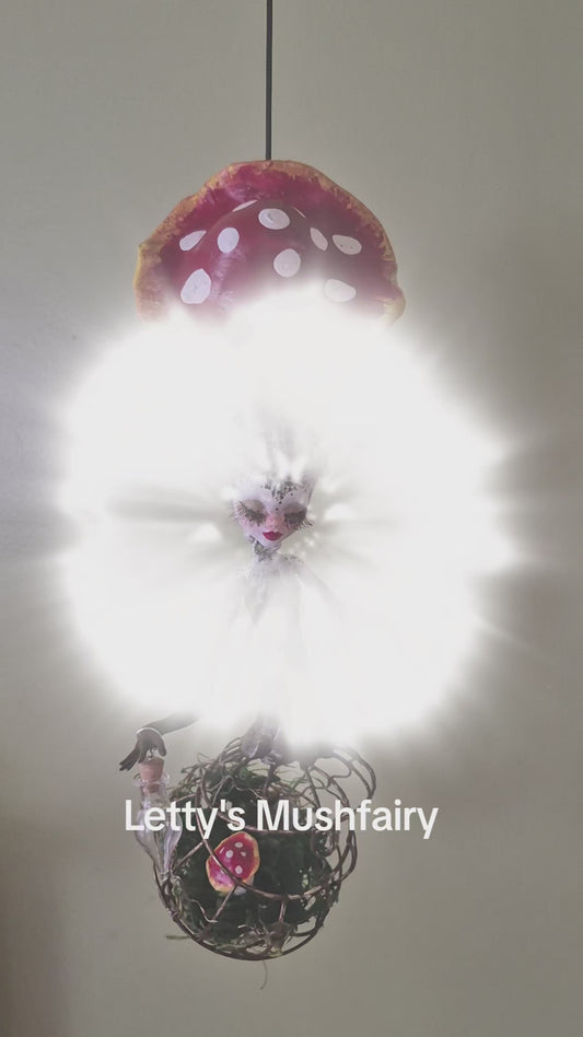 Letty's Mushfairy