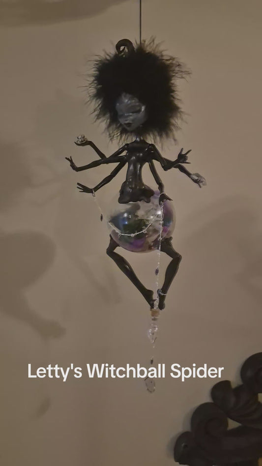 Letty's Witchball Spider