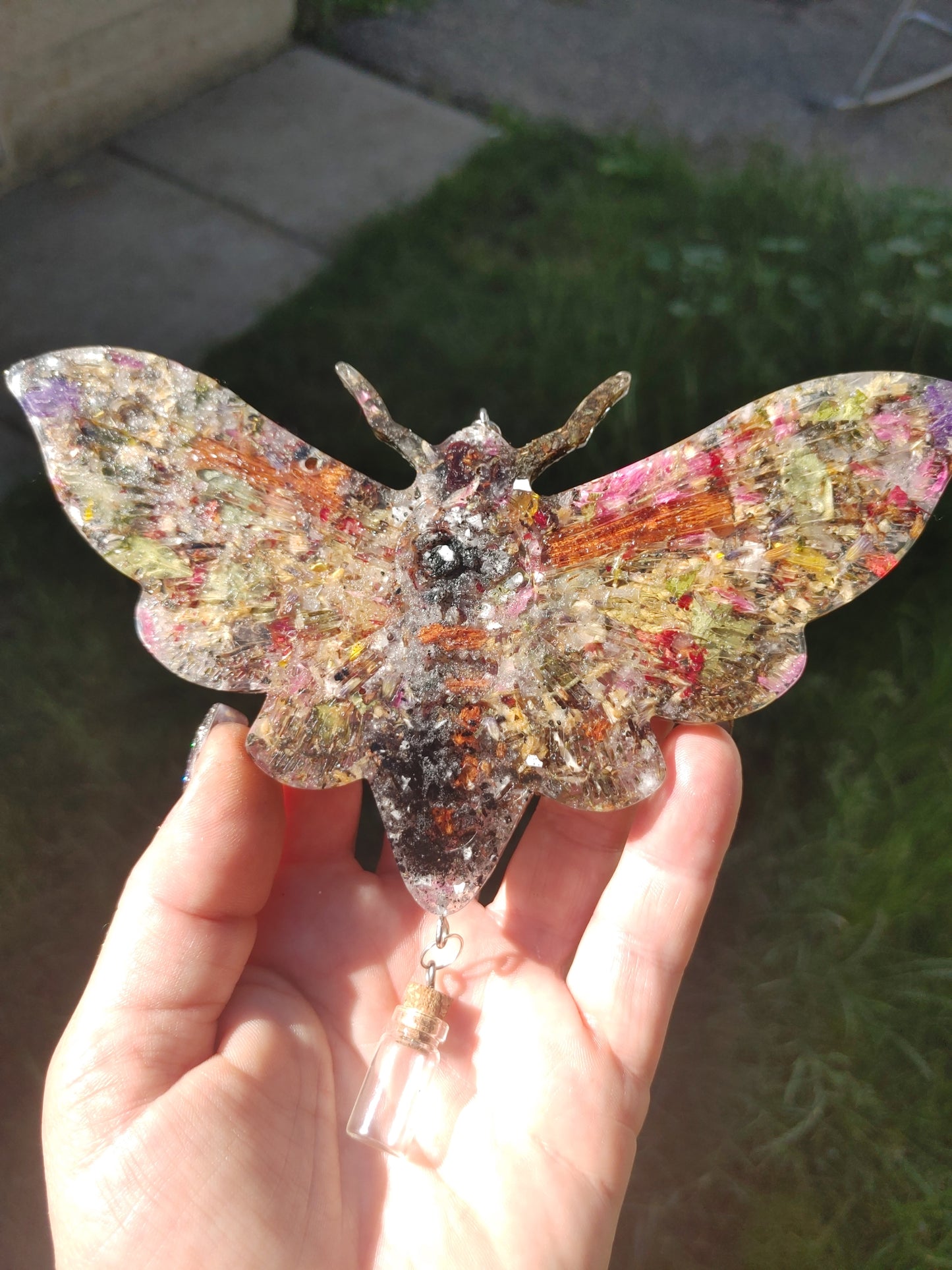 Letty's Magical Moths