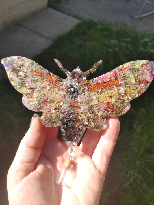Letty's Magical Moths