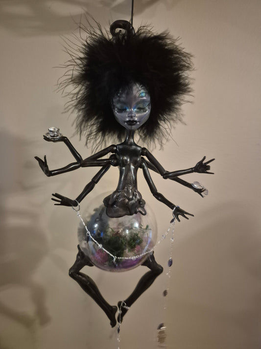 Letty's Witchball Spider