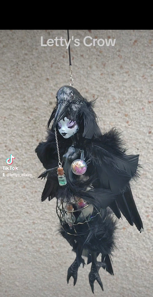 Letty's Crow