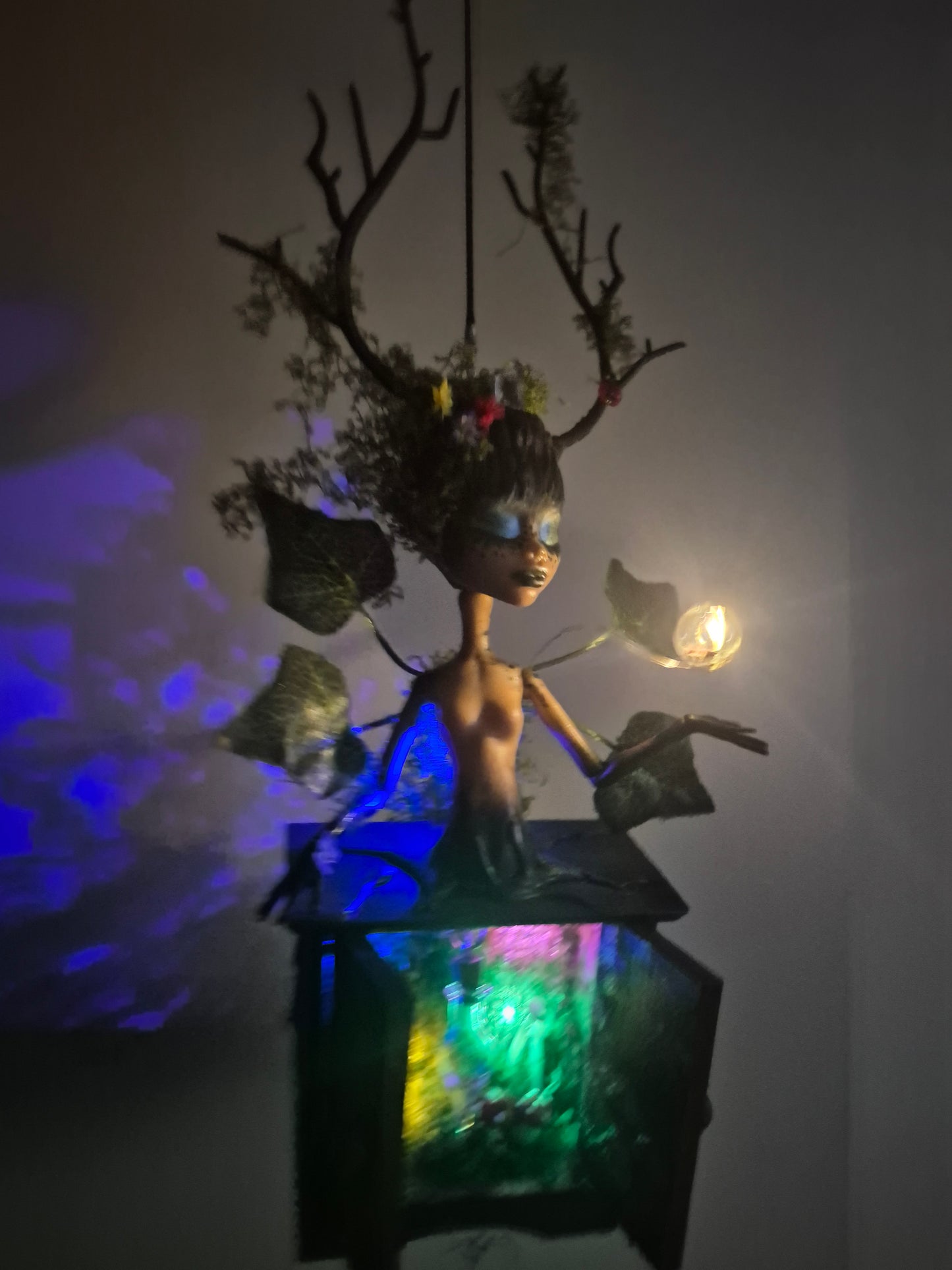 Letty's Collector Fairy