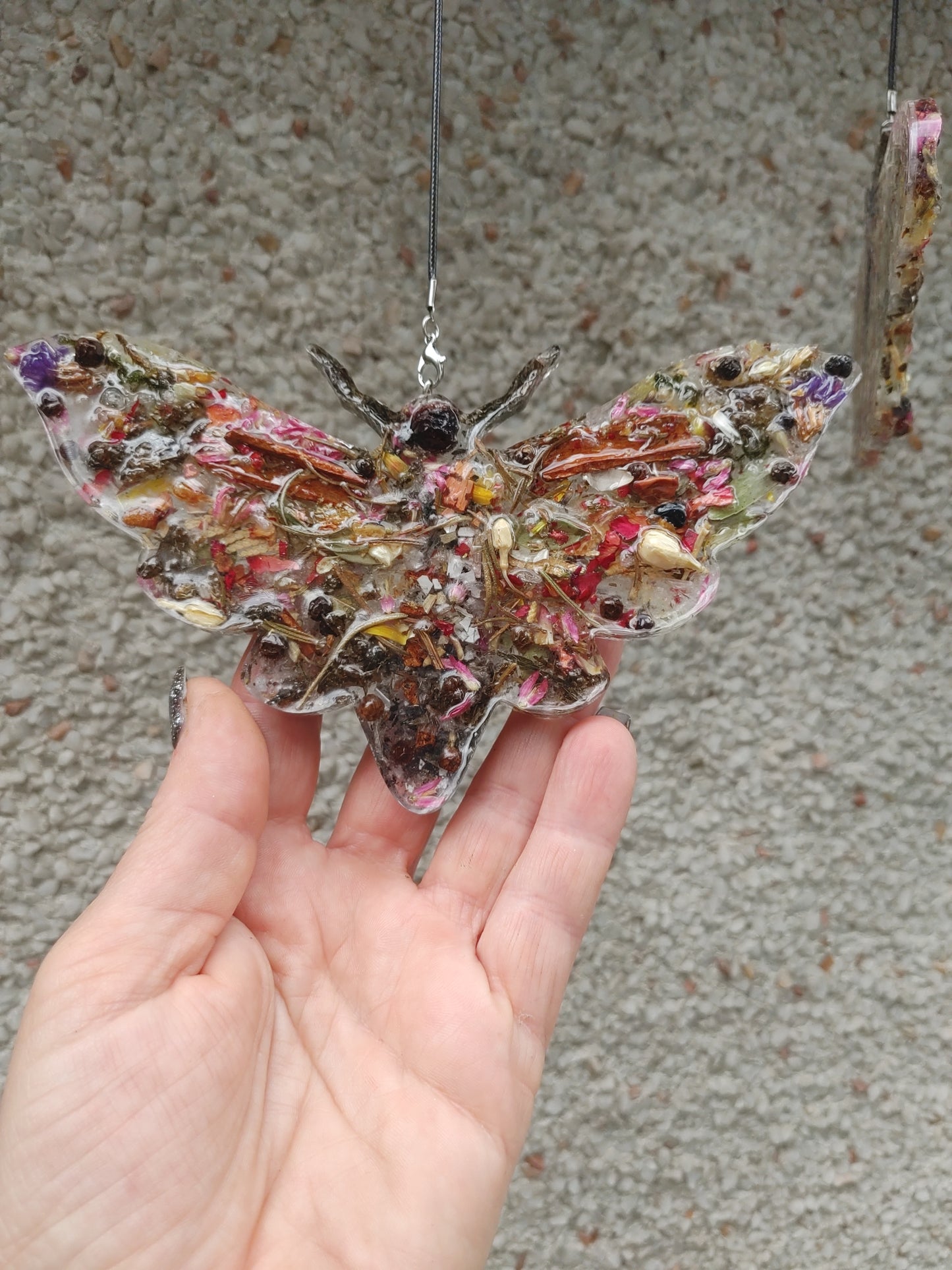 Letty's Magical Moths