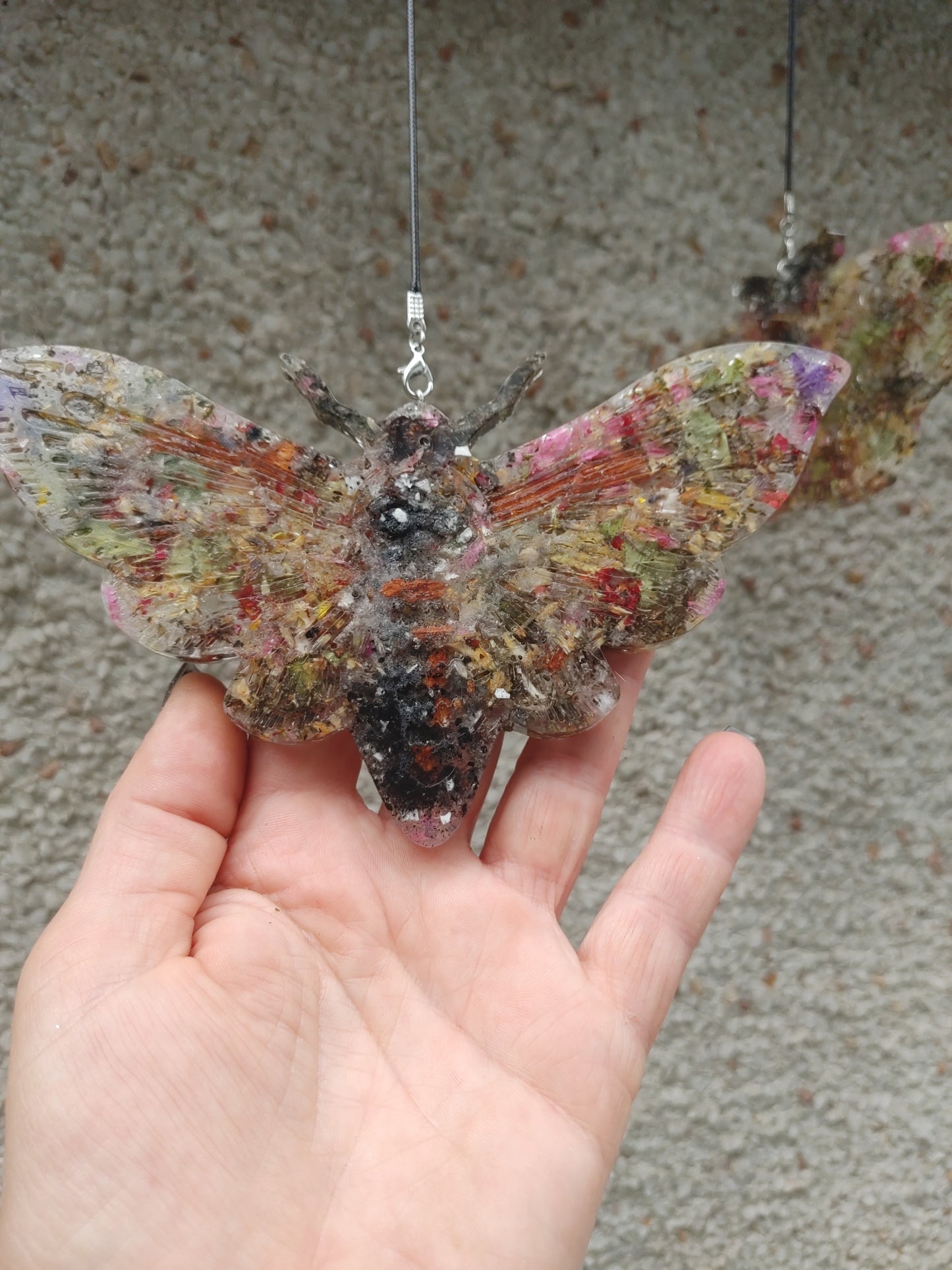 Letty's Magical Moths