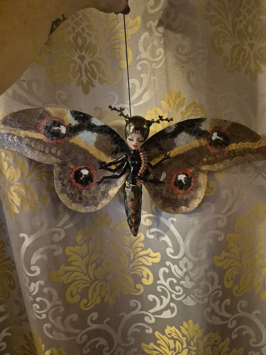 Letty's Mother Moth